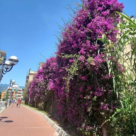 Casa Tra Cielo E Mare Διαμέρισμα Borghetto Santo Spirito